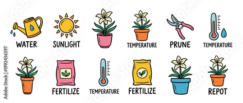 Set of hand-drawn plant care icons illustrating instructions for watering, sunlight, temperature, pruning, fertilizing, and repotting, rendered in a simple and colorful doodle vector style