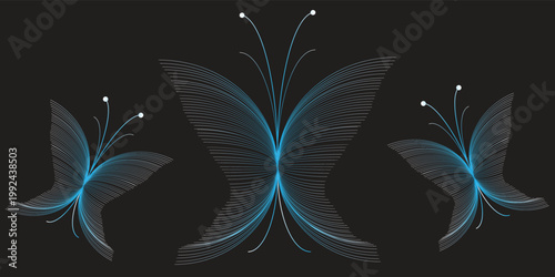 Abstract blue and white butterfly silhouettes made of fine curved lines on black background. Modern minimalist insect illustration, creative linear vector design for digital art.