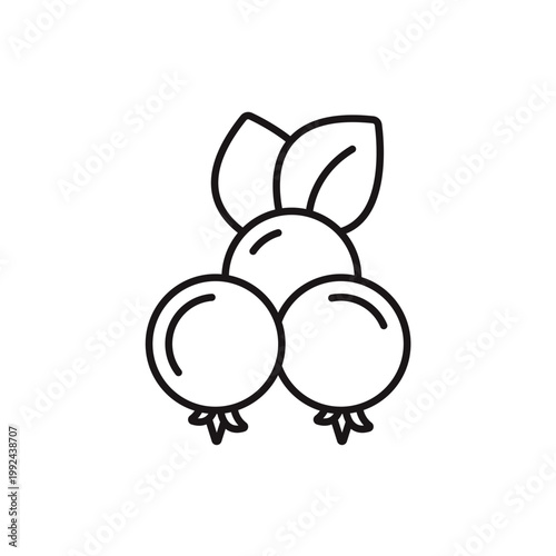 cranberry icons minimalist flat style design, cranberry Vector illustration on white background