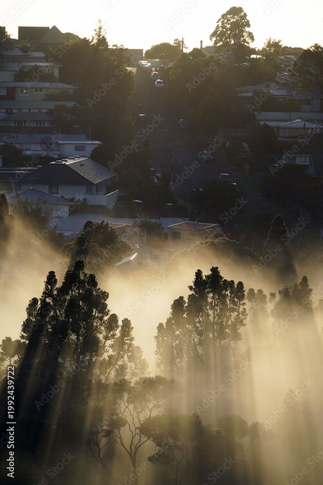 Fototapeta premium A stunning morning sunrise with misty scenery and trees