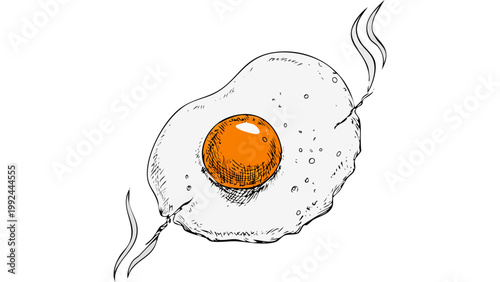 Single fried egg with crispy edges shown in minimal cooking food illustration isolated on plain background vector