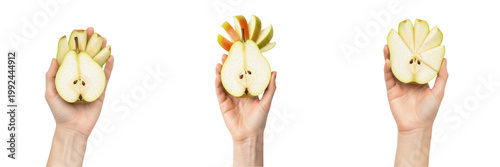 Hand holding a pear Pyrus communis orchard fruit Pera Poire Birne organic harvest healthy snack dietary fiber vitamin C farm fresh produce sweet juicy fruit nutrition stock photography photo