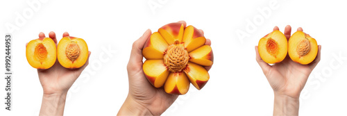 Hand holding a peach Prunus persica stone fruit Melocotón Pêche Pfirsich organic summer fruit fuzzy skin juicy orange flesh sweet healthy snack vitamin A C farm fresh produce nutrition