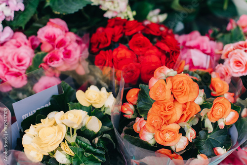 Beautiful colorful Begonia flowers in a Flower shop. Selective focus.