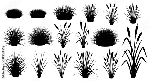 Quadro em tela Black cattail, reed, and grass silhouettes, 15 piece vector set, wetland plants,