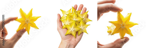 Schilderij op canvas Hand holding sliced star fruit - Averrhoa carambola (Carambola / Carambole) - Fr