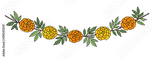 Handdrawn yellow Orange Marigold Flower Border, Indian Toran Garland. Zendu Flowers isolated on background. Festive Floral Party Decoration. Diwali, Halloween Dia de los Muertos, Vector Illustration