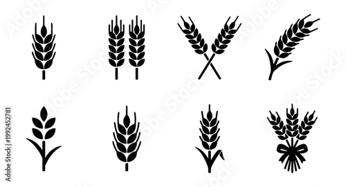 Set of wheat ears icons, grain stalks, cereal crop symbols, vector illustration