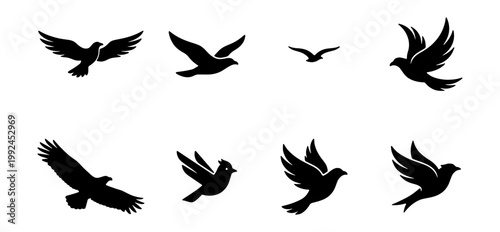 Set of flying birds silhouettes