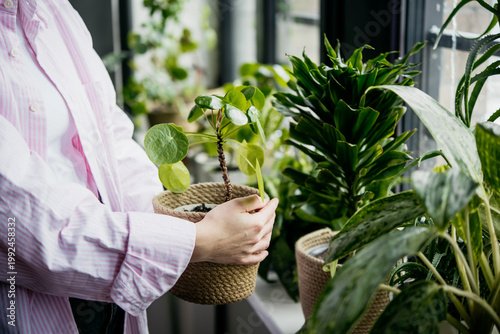 Young woman takes care of her home plants. Home gardening concept.