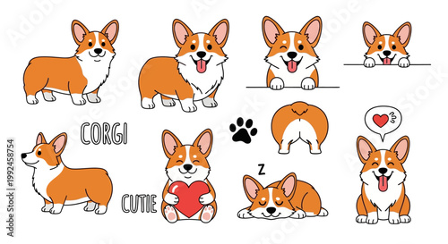 Corgi dog stickers, cute cartoon corgis, adorable pet illustrations, vector icons set