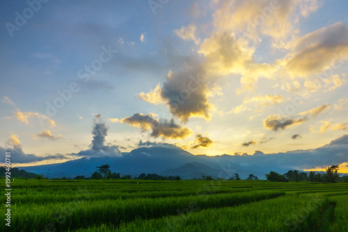 Beautiful morning view in Indonesia, panoramic landscape of rice fields with mountain ranges and clear sky
