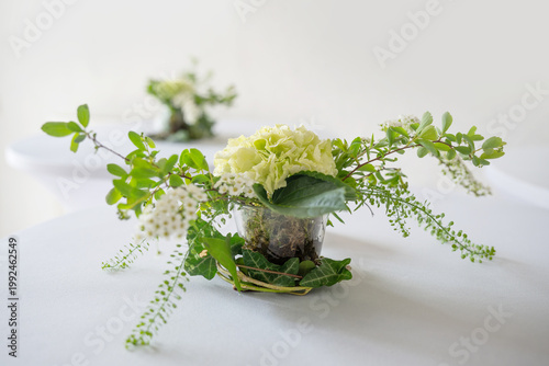 Festive table arrangement in white and green made with hydrangea flower, bridal wreath, and shepherd's purse in a glass with moss and ivy, copy space, selected focus, narrow depth of field