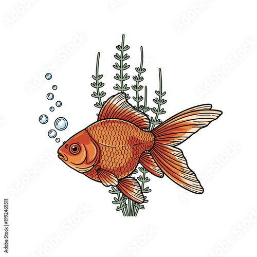 Goldfish in water minimal line art orange isolated aquarium concept