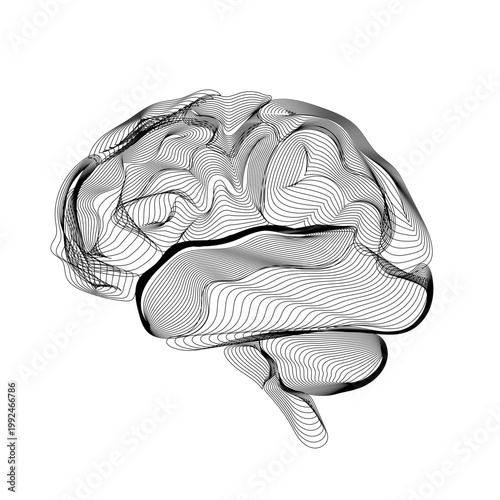 Minimalist Black Line Brain Abstract Illustration. Monochrome abstract brain formed by flowing contour lines, symbolizing neural pathways  and modern scientific visualization on a clean background