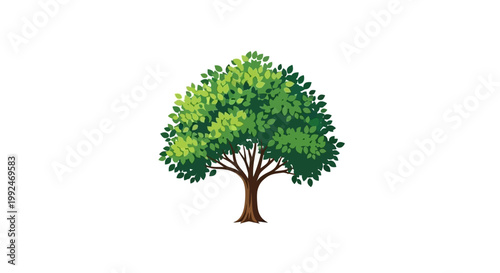 A simple, cartoon illustration of a leafy tree on a stark white background