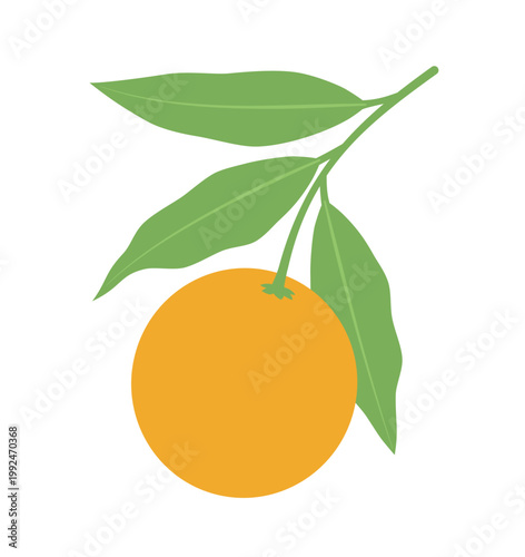 Orange and tangerine fruits on a branch with leaves. Vector illustration of citrus in flat style. Design element, decor.