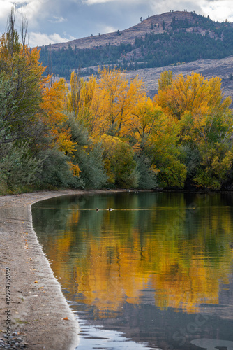 Osoyoos Lake Shoreline Fall Colors and Ducks. A quiet morning on Osoyoos Lake, British Columbia, Canada.
