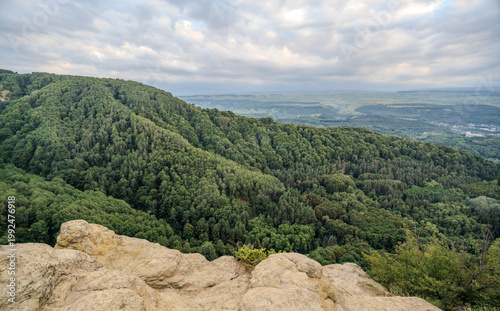 Majestic rocky cliffs and towering pine trees against blue sky.