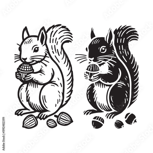 Two squirrels holding acorns