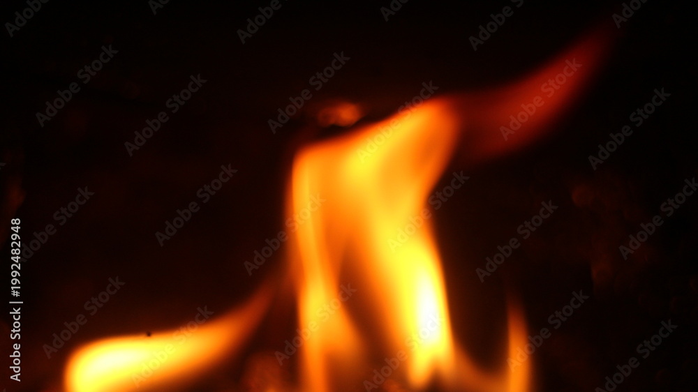 Fototapeta premium Close Up Bonfire Burning Logs