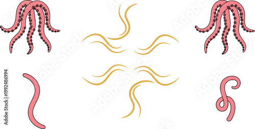 Octopus tentacles set hand drawn marine elements swirling lines and sea creature limbs vector illustration isolated design collection