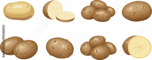 Set of brown potatoes in various shapes including whole, sliced and grouped isolated on white background detailed vector illustration