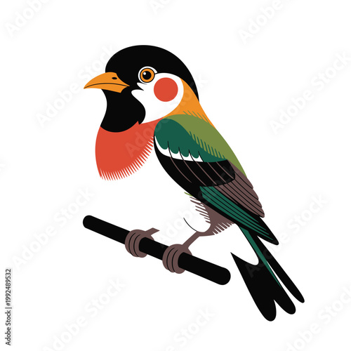 Bird with colorful feathers rests on a thin wooden perch against a clear white.