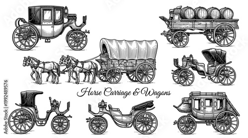 Collection of Vintage Horse Carriage and Wagon Illustrations in Hand Drawn Engraving Style, Featuring Antique Transportation like Stagecoaches, Covered Wagons, and Elegant Victorian Coaches