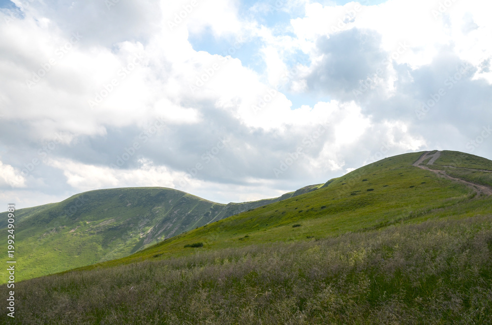 Fototapeta premium Scenic green rolling hills and a grassy ridge lit by soft summer light beneath heavy clouds, conveying calm, openness and natural beauty for travel, outdoor, landscape and environmental projects