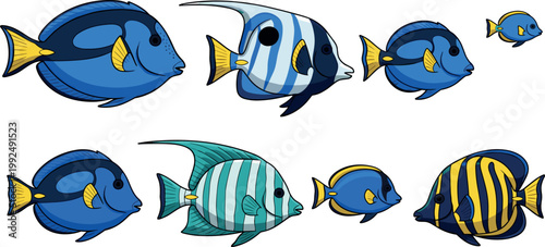 Blue tropical fish collection set marine aquarium species colorful ocean animals vector illustration isolated design elements
