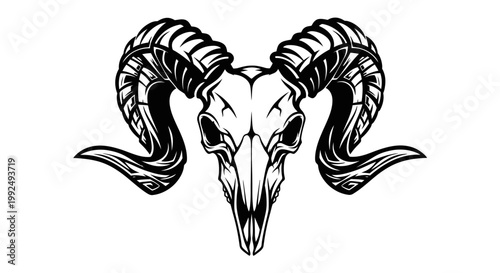 Detailed Ram Skull Vector Illustration with Horns.