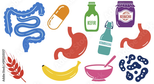 Digestive Health and Probiotic Foods Illustration.