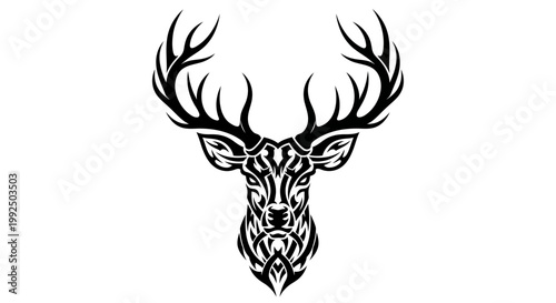 Deer Head with Large Antlers Closeup.