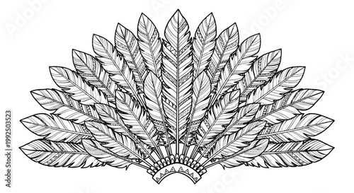 Detailed illustration of feather headdress.