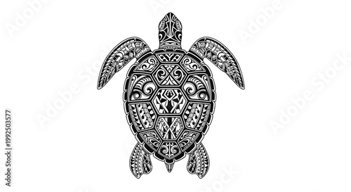 Detailed illustration of a turtle shell.
