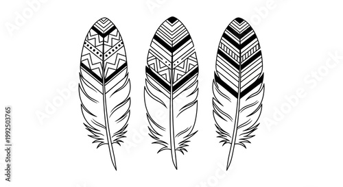 Three Hand Drawn Bohemian Feathers with Intricate Patterns.