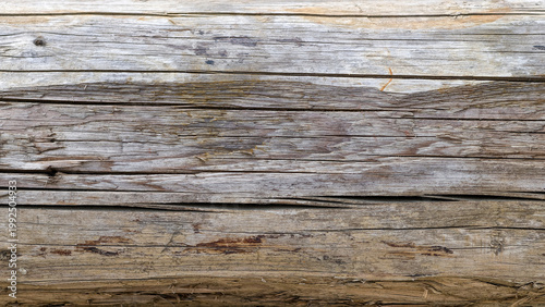 Old tree trunk for the construction industry with natural color texture background