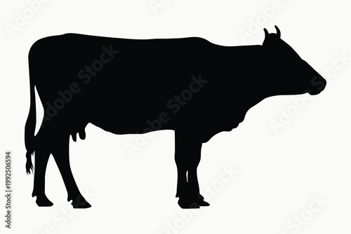 Black Cow and Bull Silhouette Isolated on White Background – Farm Animal Profile Illustration
