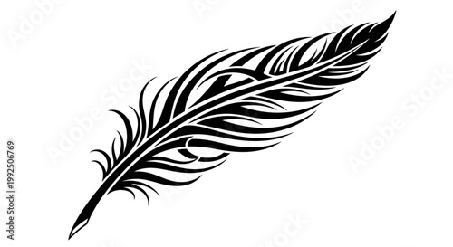 Elegant Black Feather Illustration on White Background.