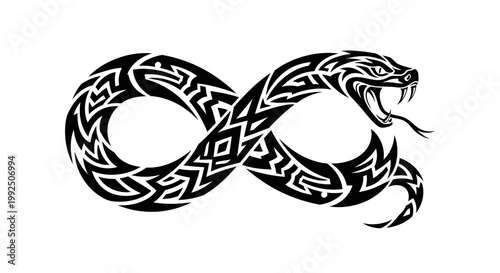 Black and white snake infinity symbol.