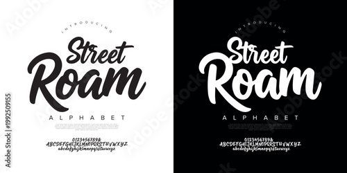 Street Roam Brush Script Font Hand Drawn Calligraphy For Urban Style Fashion And Apparel Design