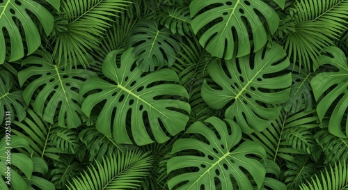 Lush tropical pattern featuring oversized monstera leaves and green palm fronds, creating a dense jungle aesthetic for botanical wallpaper, plant, environment, garden