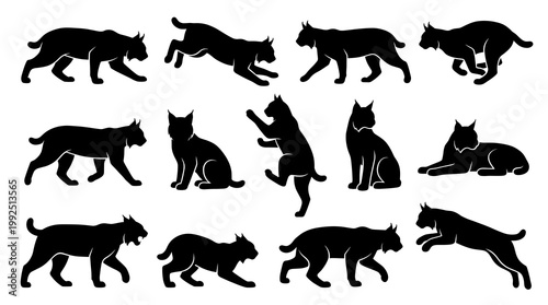 Bobcat Silhouette Vector Set Wild Cat in Various Action Poses Walking Jumping Running and Sitting for Wildlife Animal Design Elements