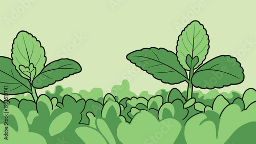 Fresh green plants grow in a garden under bright lighting during daytime while surrounded by other green leaves and foliage