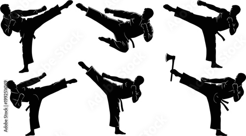 Silhouettes of martial artists in dynamic poses demonstrating combat and self-defense techniques