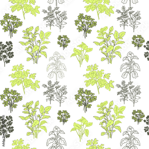 Seamless pattern with hand drawn aromatic culinary herbs and garden plants.