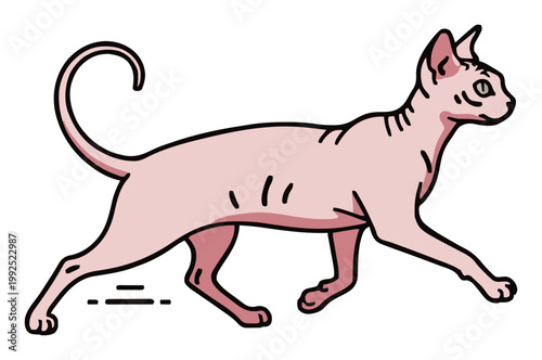 Sphynx cat running dynamic vector illustration. Generative AI