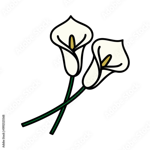 カラー（オランダカイウ）のカラーアイコン