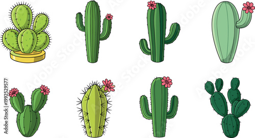 Set of hand drawn cactus illustrations with flowers in pots and desert plants collection isolated on light background